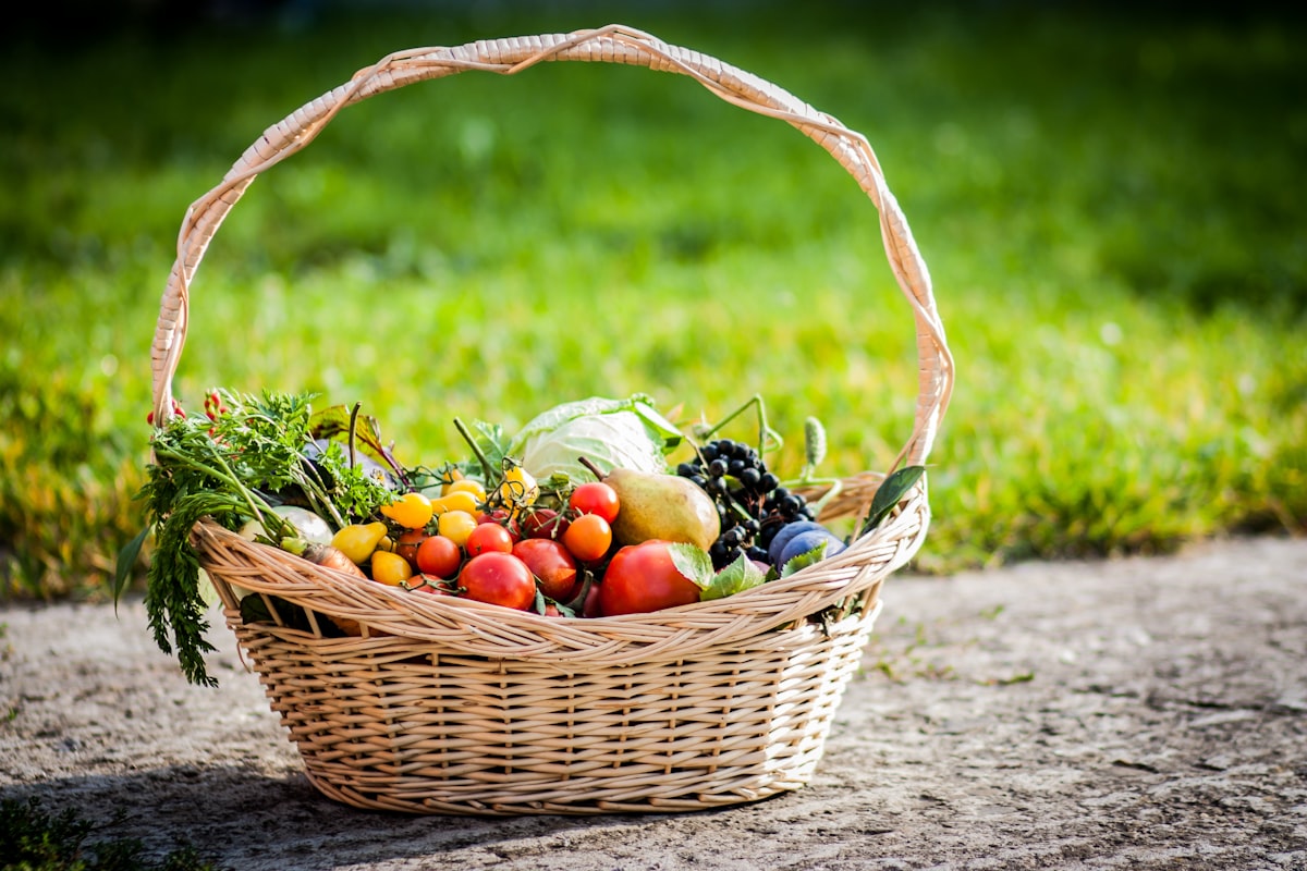 Alimenti biologici confezionati